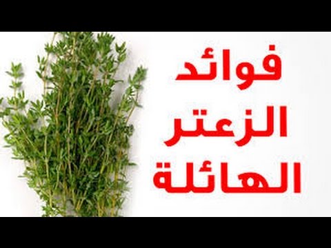 فوائد الزعتر - فائدة الزعتر العظيمة للتخسيس والبشرة والجسم 5386