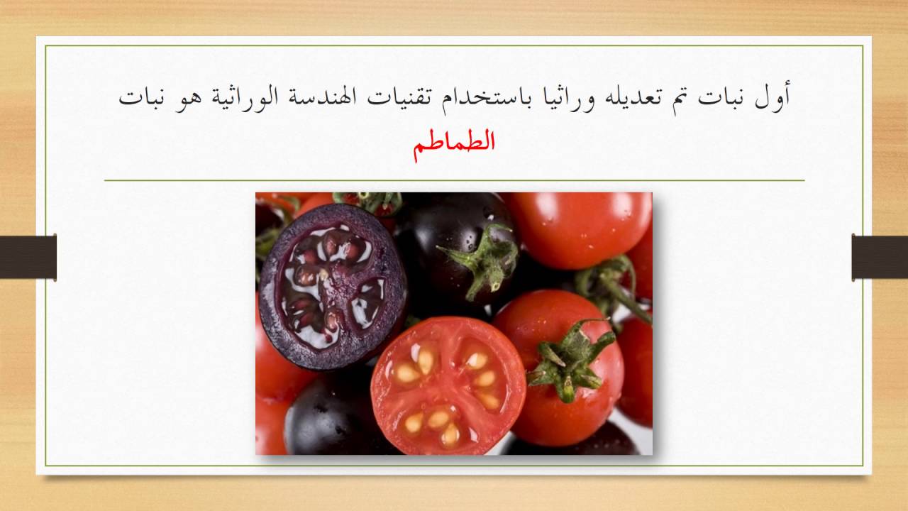 التعديل الوراثي عند النباتات 10844 1