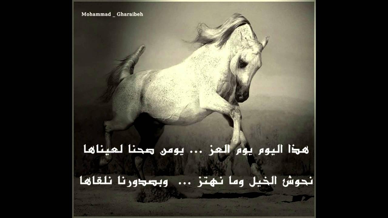 شعر عن الخيل 4638 3