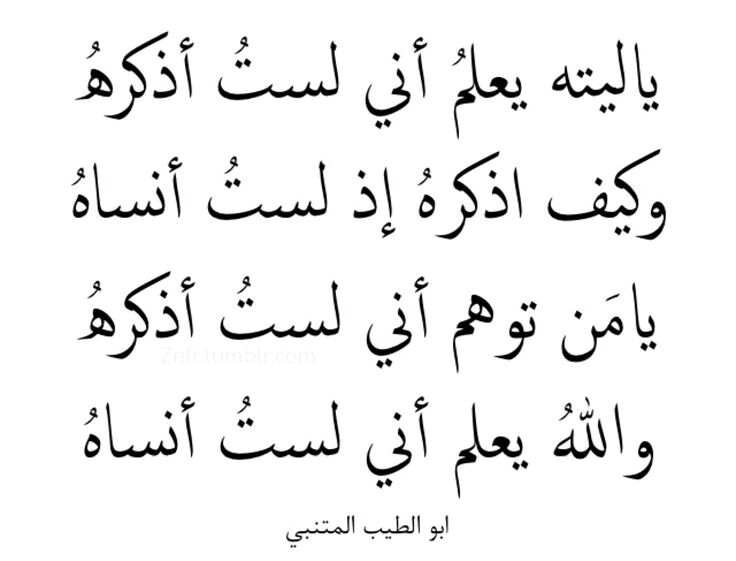 قصائد حب عربية - اجمل اشعار الحب العربية 4073 4