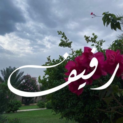 معنى اسم رفيف 6692 2