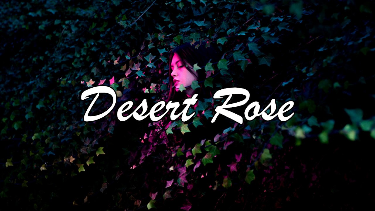 كلمات اغنية desert rose , إليكم كلماتها الجميلة