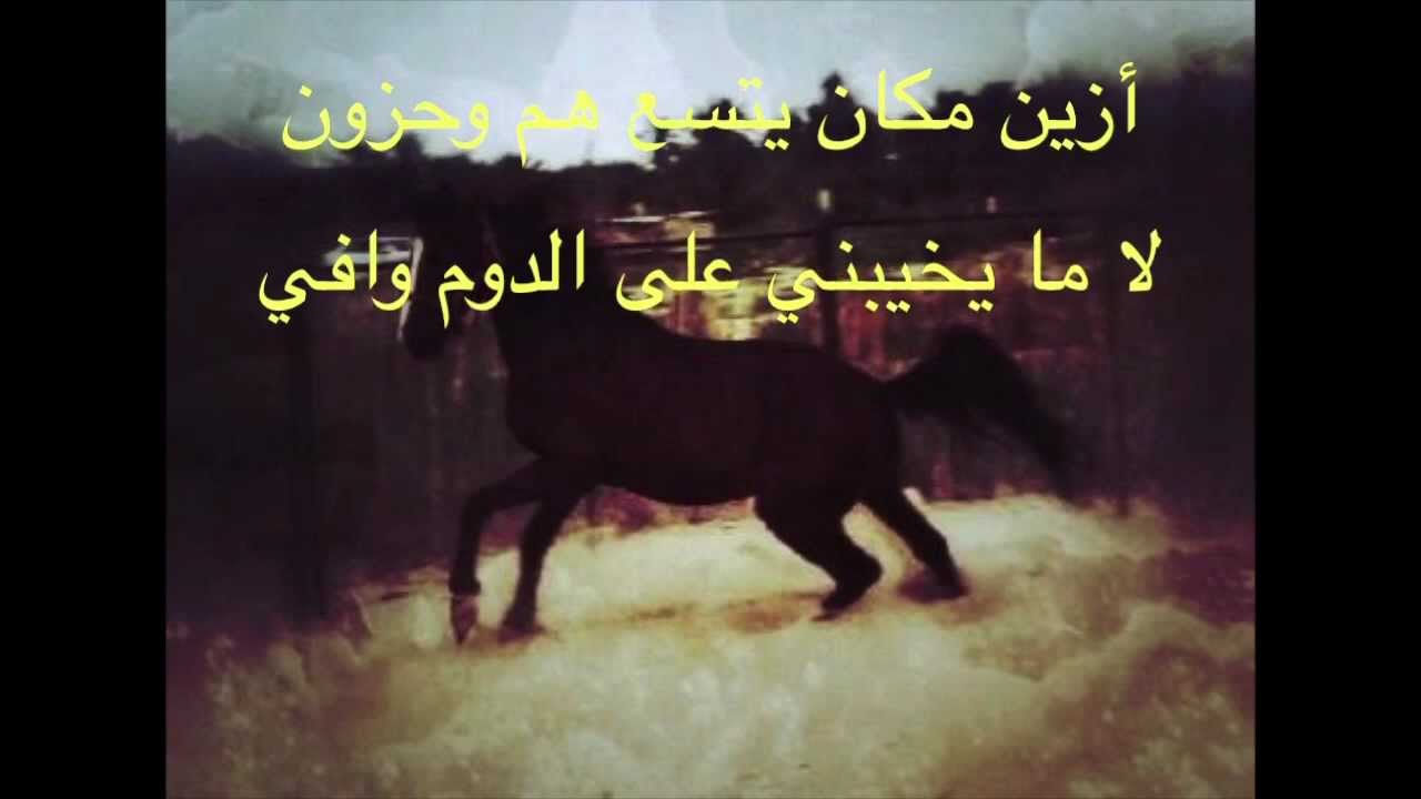 شعر عن الخيل 4638 1