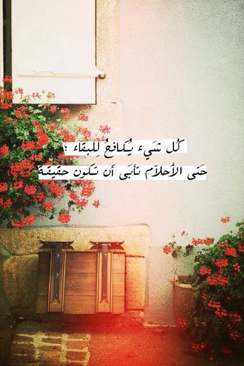 صور عن الاحلام 1476 9