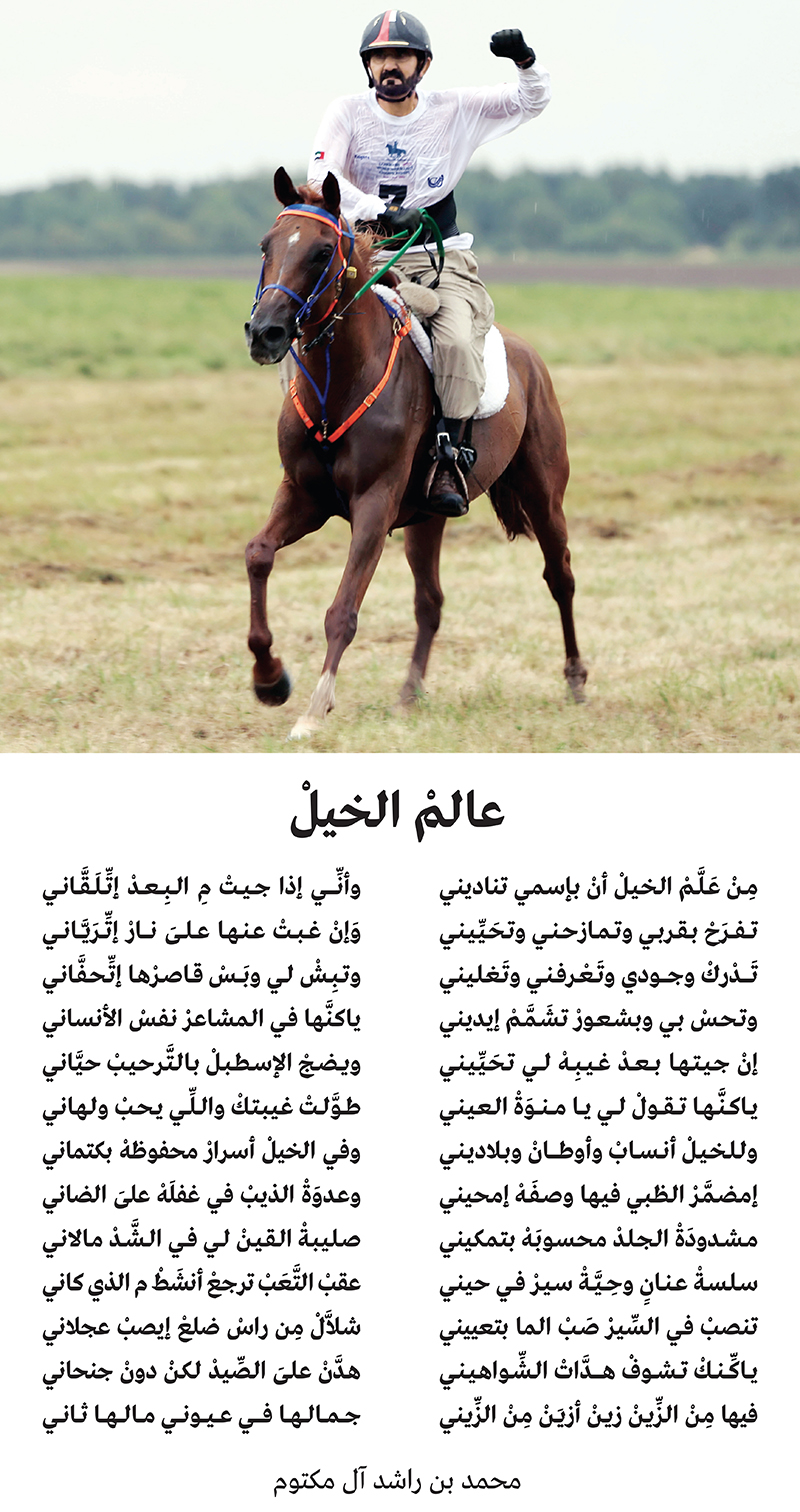 شعر عن الخيل 4638