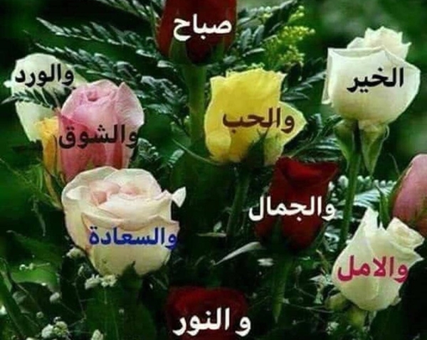 صور صباح النور 6563 3