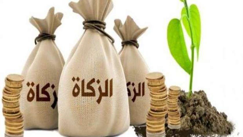 عدد شروط وجوب الزكاة في الحبوب والثمار ، إليكم الشروط كاملة 18529 1