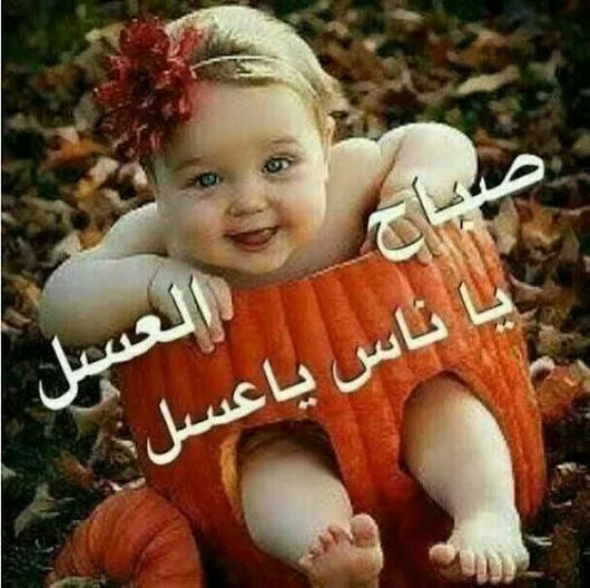 صباح العسل ياعسل - اجمل صباح للعسل 2694 12