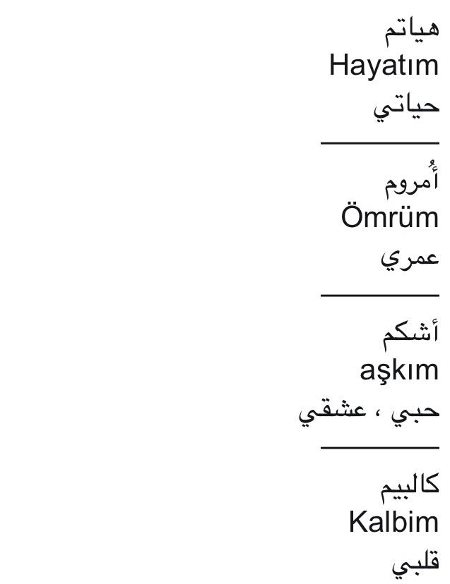 كلمات بالتركي , مفردات باللغة التركيه