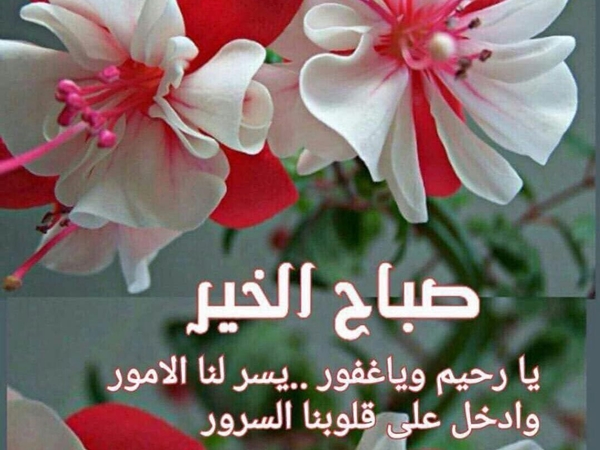 صباح الحب والشوق