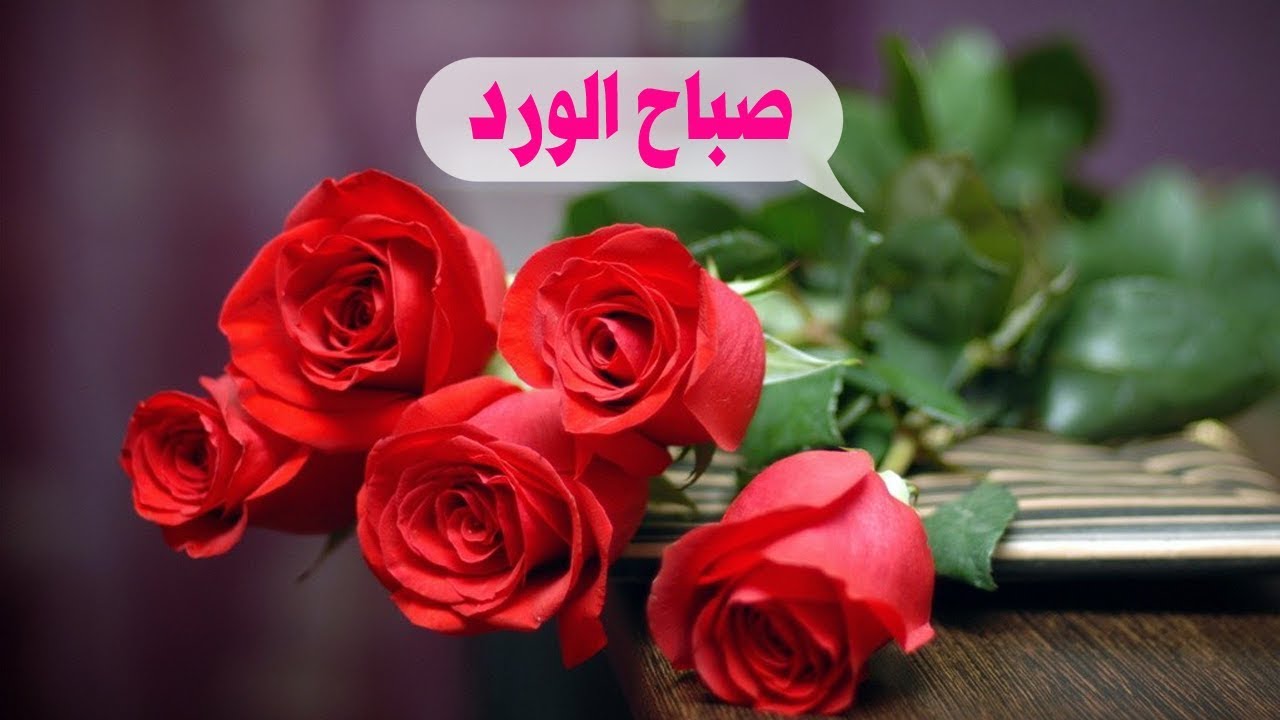 صباح الخير رومانسية 5940 7