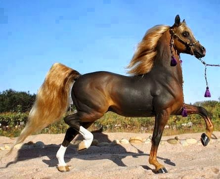 خيل اصيل - اجمل صور خيول عربية اصيلة 2353 2