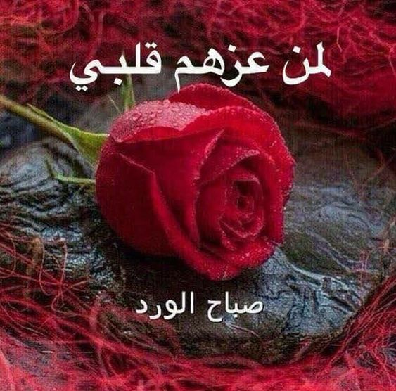 صور متحركه صباح الخير 6654 2