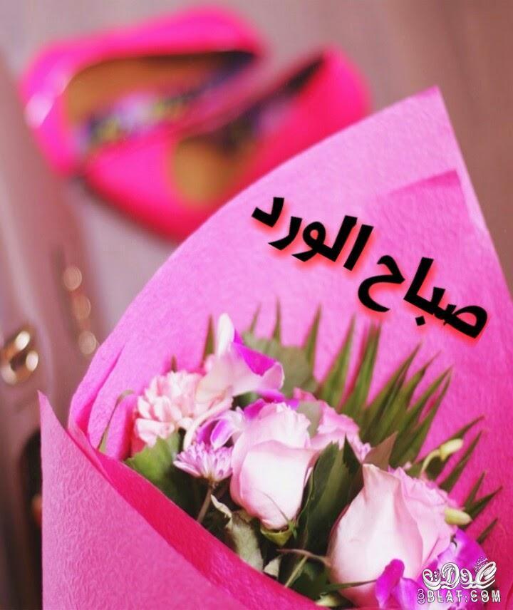 صورصباح الخير - اجمل صور صباح الخير 2584 10