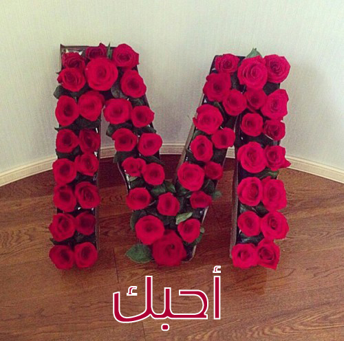 صور لحرف M - أحلى واجمل تشكيلة مميزة لحرف ال M 5150 13