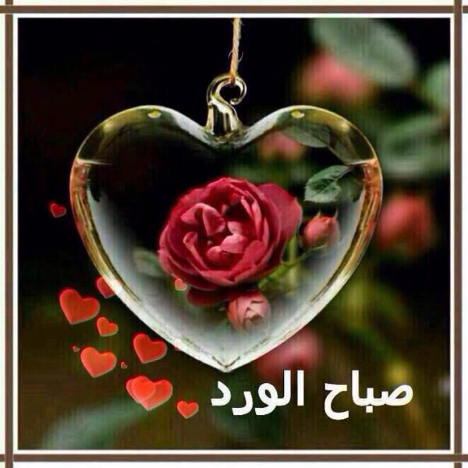 صور عن الصباح 4667 5