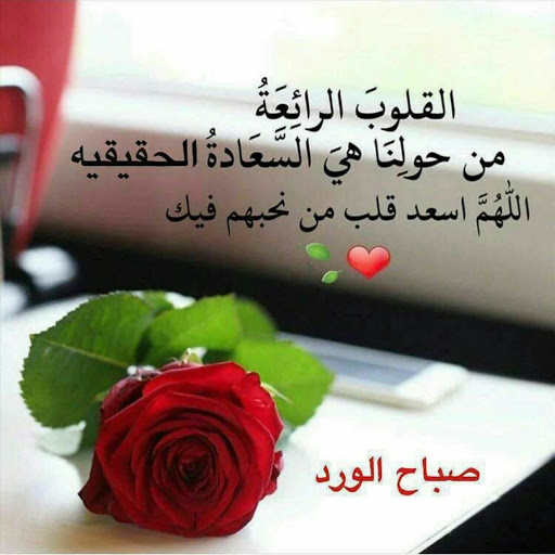 صباح الخير مضحكة 5619 1