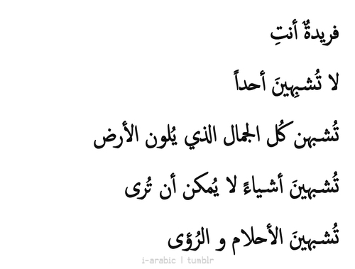 شعر جاهلي غزل فاحش - اكثر ابيات شعر عربي فى وصف الحبيبه 3526 3