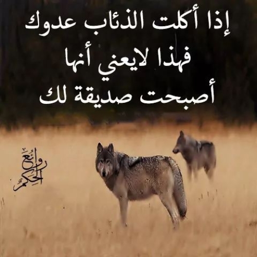 صور حكم جميله 5499 4