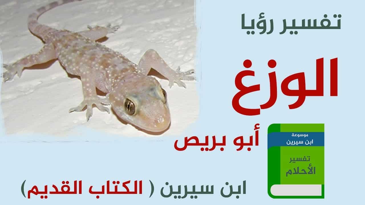 تعرف على تفسير حلم الوزغ- تفسير حلم الوزغ 5935