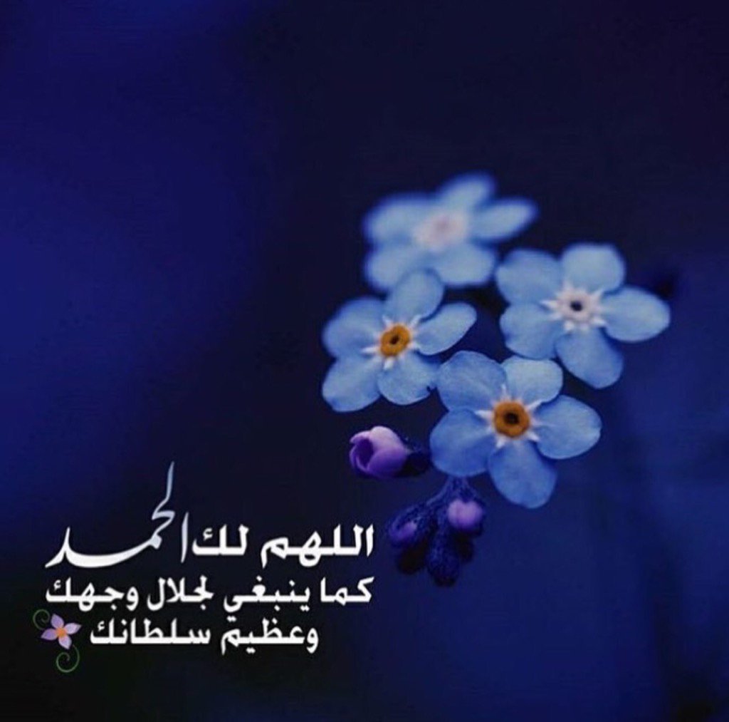 صور وعبارات جديده 10747 8