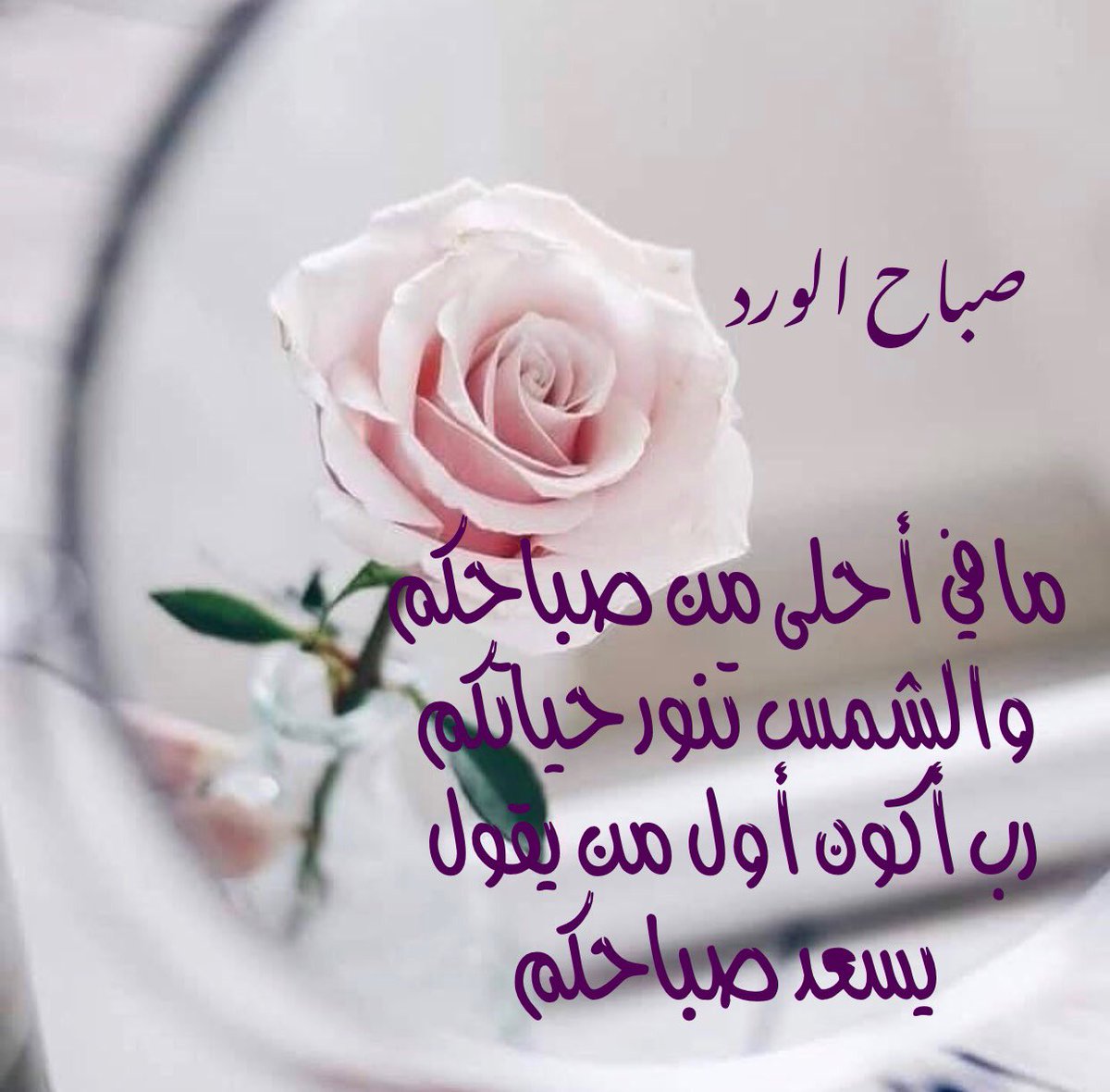 صور عن الصباح 4667 1