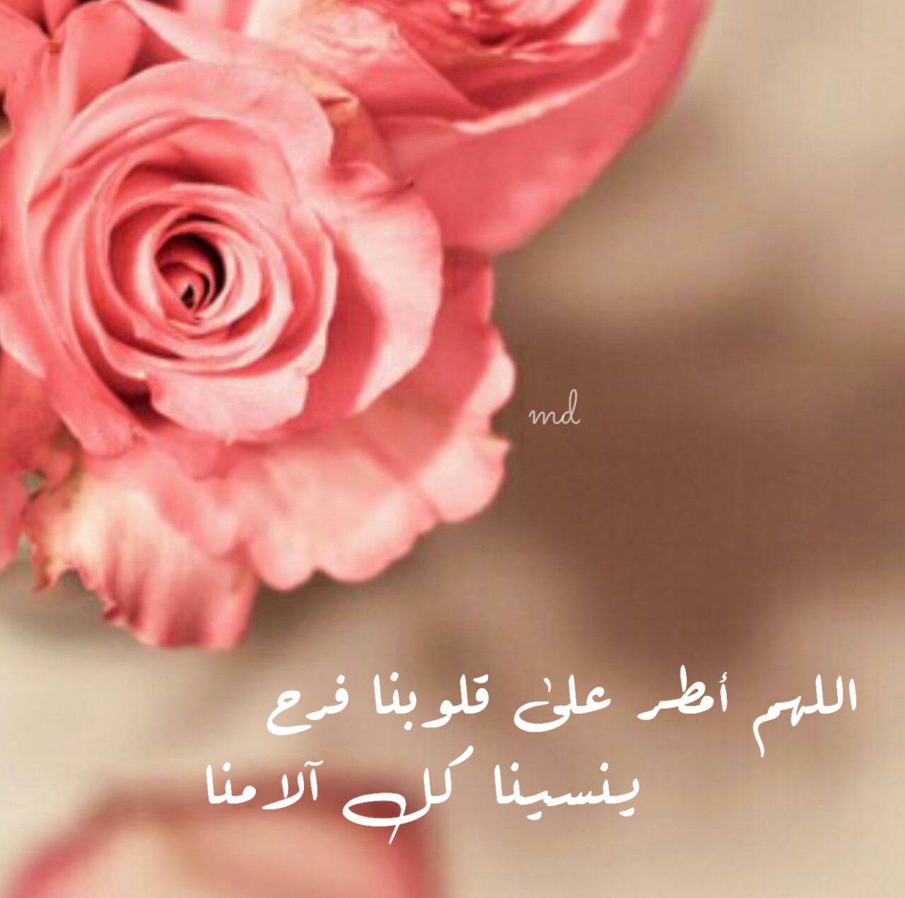 صور واتس حلوه وجديده 10549 1