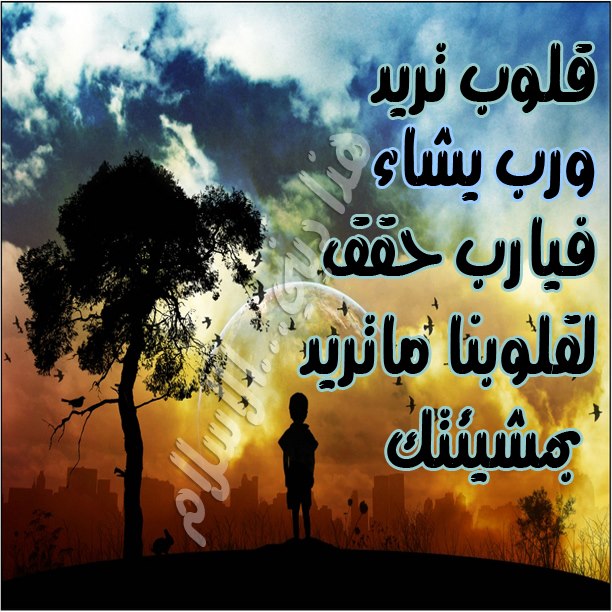 صور اسلامية - اجمل وافضل الصور الاسلامية الحديثة 348 13