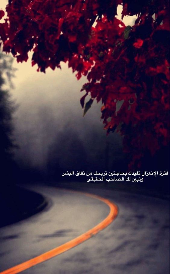 صور حكم جميله 5499 6