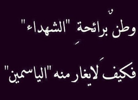 صور عن الشهداء - الشهداء والتضحية بدون مقابل من اجل الوطن 3473 5