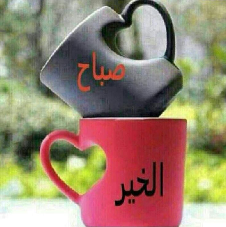 صور منوعه جديده 1400 2