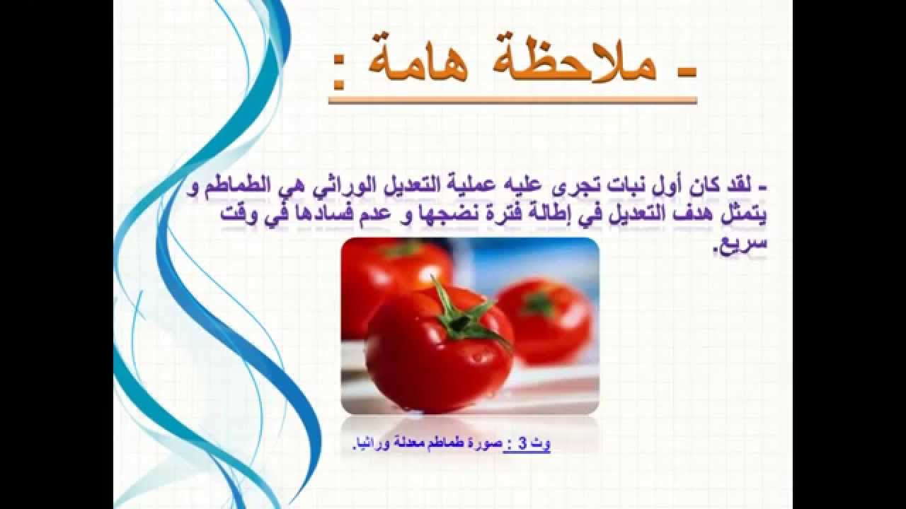 التعديل الوراثي عند النباتات 10844 3