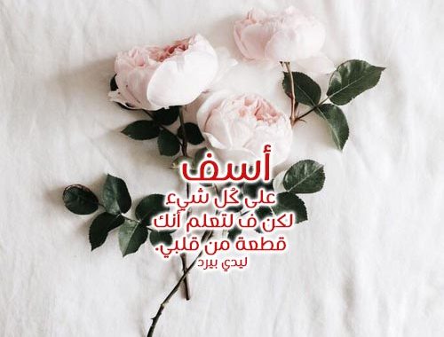 رسائل اسف واعتذار , مسجات اعتذار للحبيب