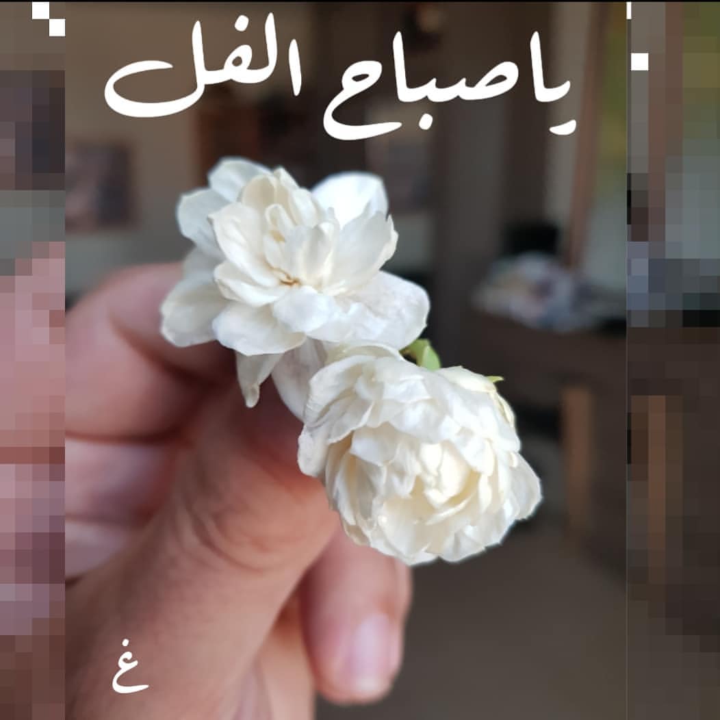 صور عن الصباح 4667 4