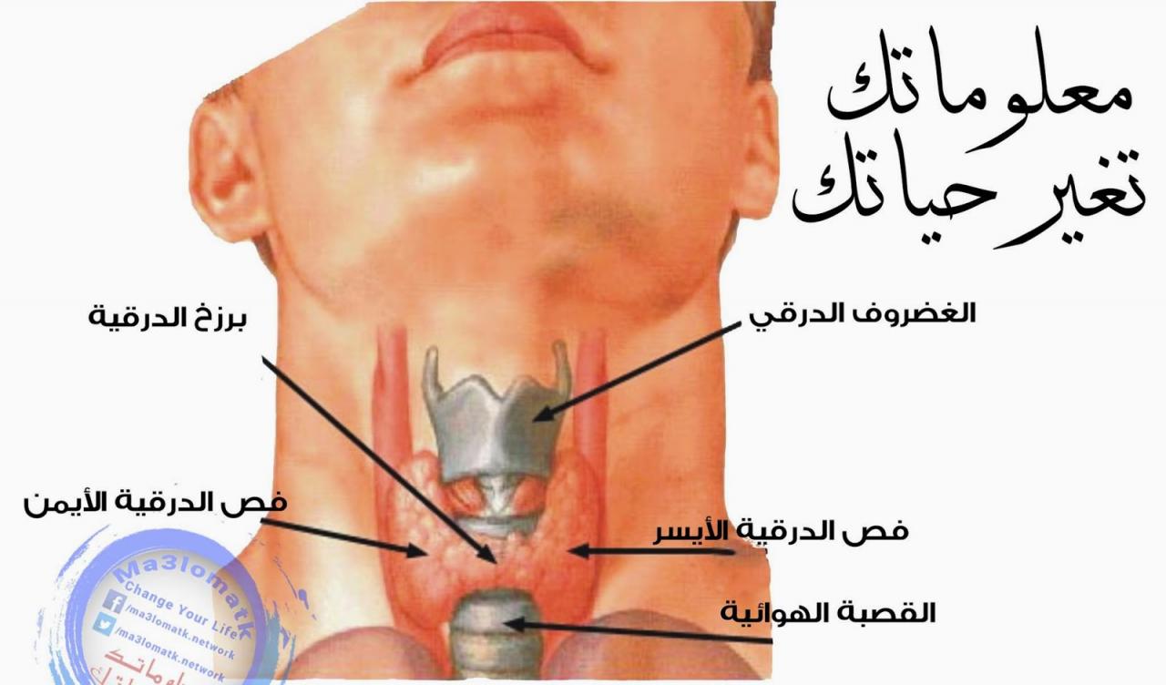 اعراض قصور الغدة الدرقية 4285