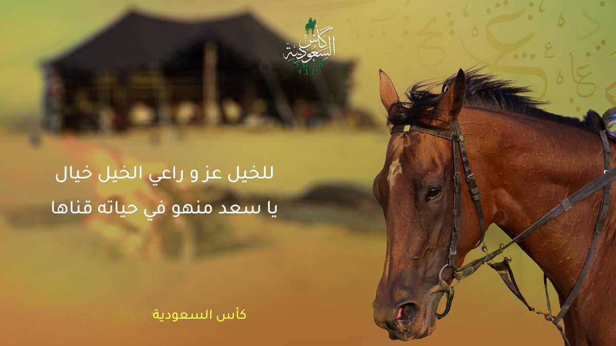 شعر عن الخيل 4638 4