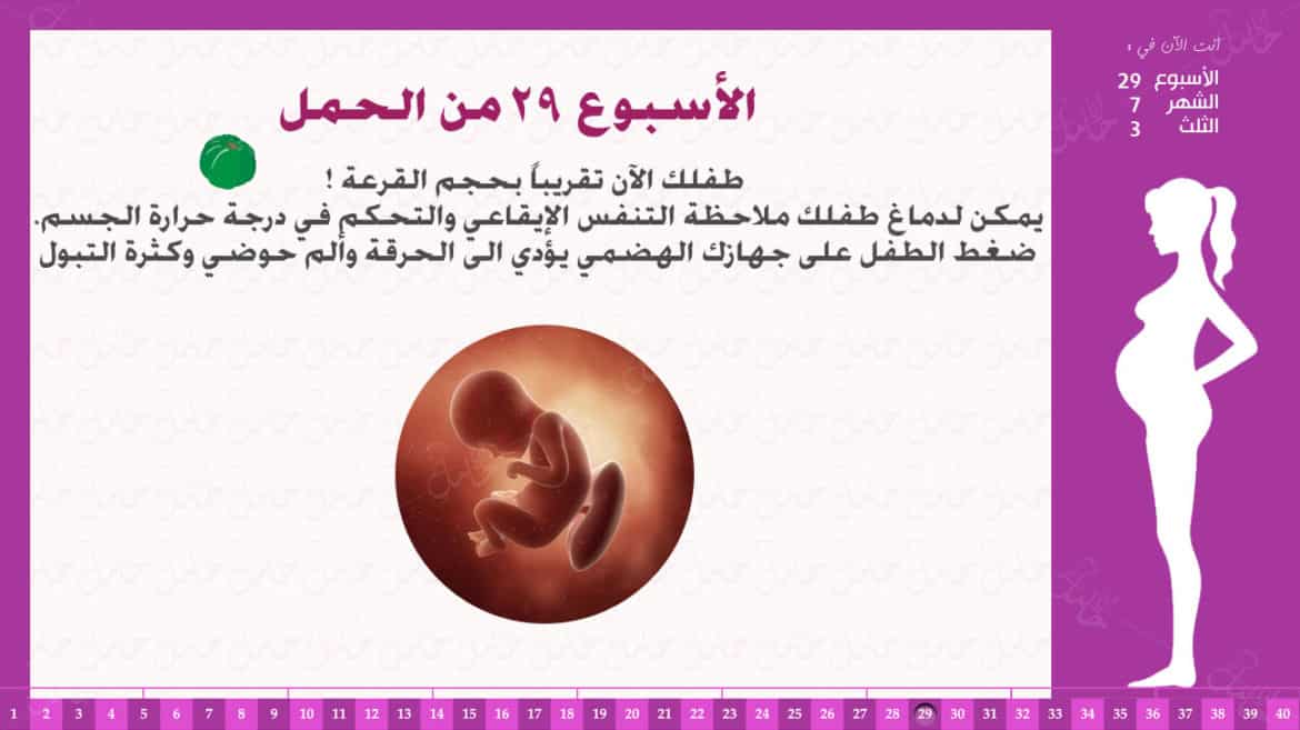 الاسبوع 29 من الحمل - الاعراض في الاسبوع ال 29 من الحمل 10395