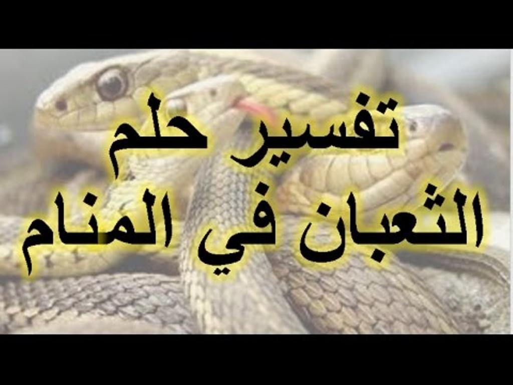 تفسير حلم الثعابين الصغيرة - تفسير رؤية الثعابين الصغيرة في المنام 10332