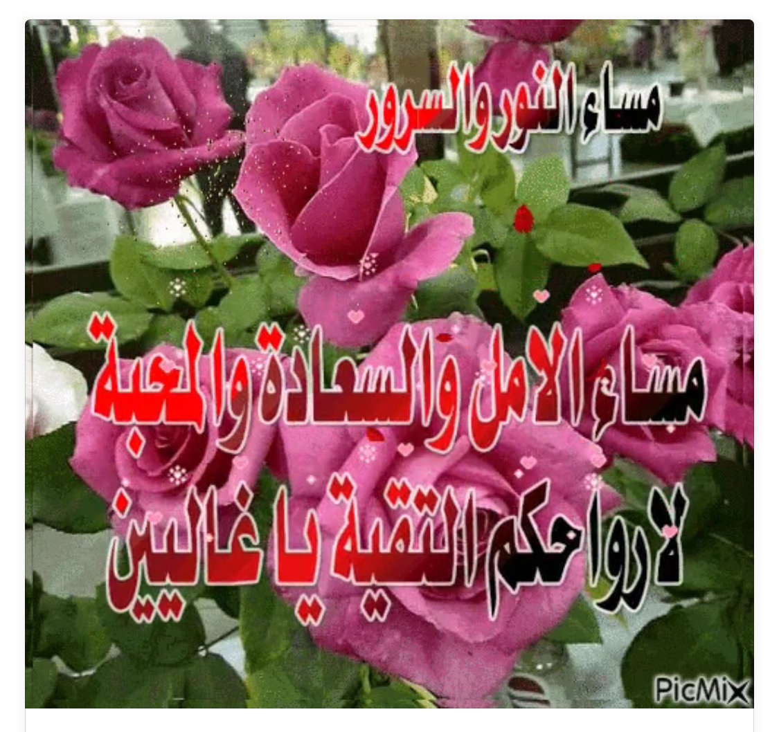 مساء النور 5315 9