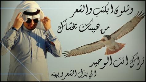 ابيات شعر مدح - اجمل وارق كلمات واشعار المدح 374 10