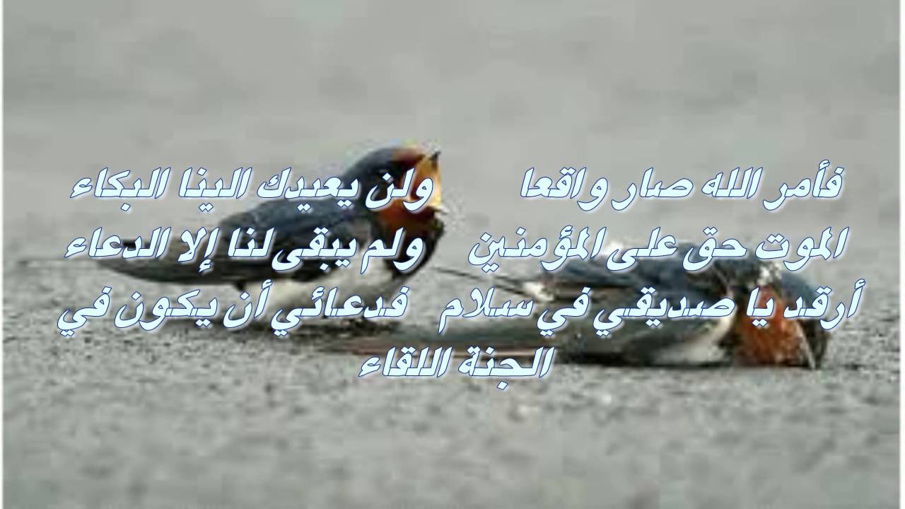 شعر عن الموت - مجموعة متميزة من الاشعار القوية عن الموت 849 6