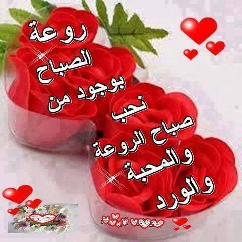 صباح الحب والشوق 5526 4