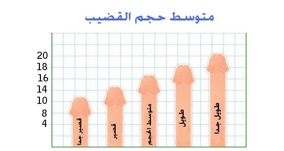 سمك الذكر الطبيعي - طول قضيب الرجل 9964