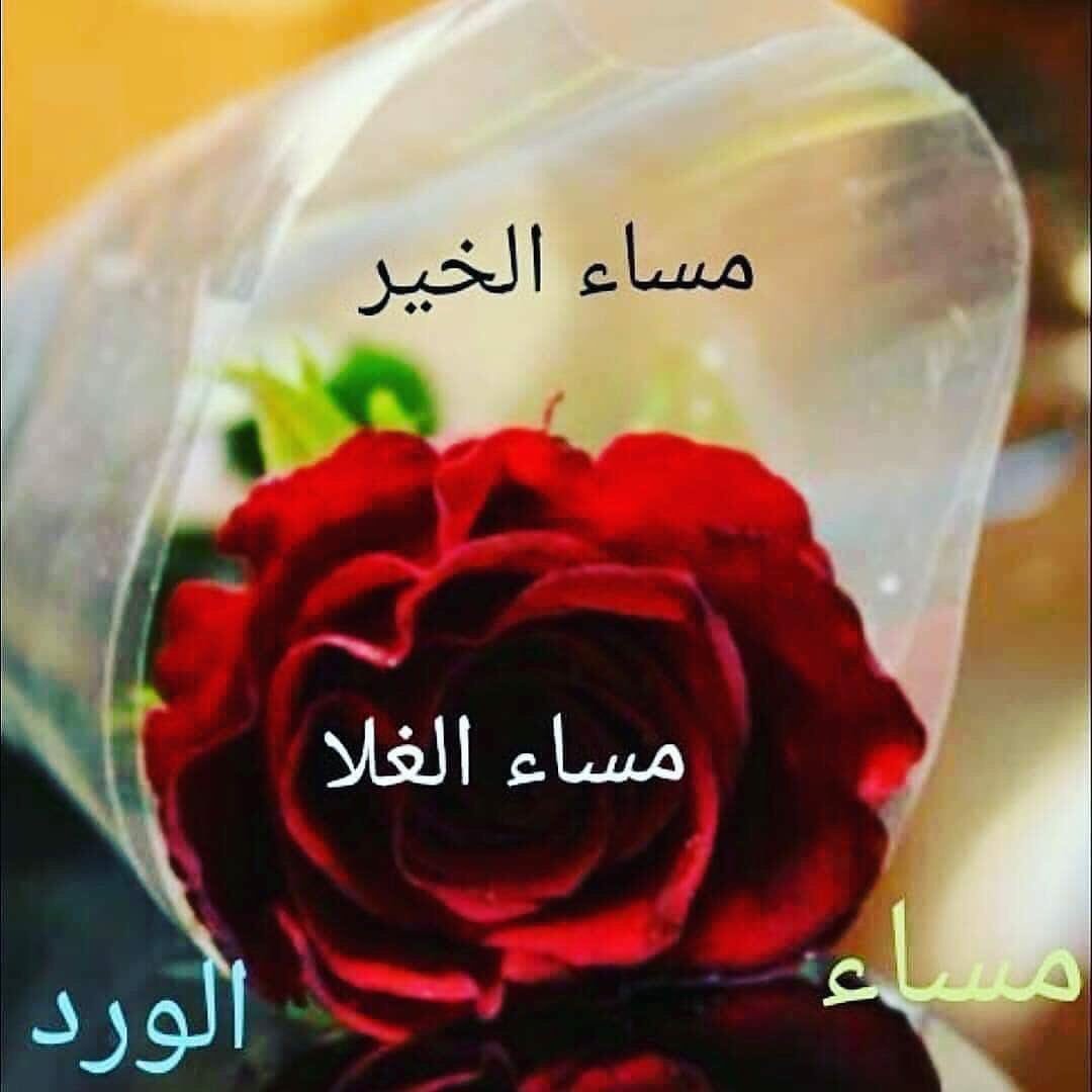 مساء الشوق 5316 4