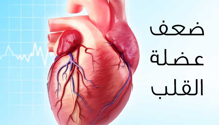 اعراض امراض القلب، هذه الأعراض مؤشر لأمراض القلب 5604 11