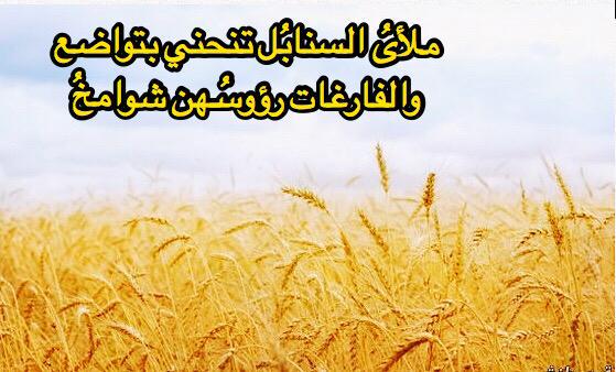 صور عن الغرور ، عبارات مؤثرة عن المغرور 5287 4