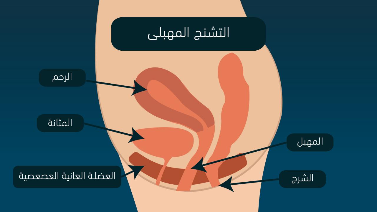 ضيق فتحة المهبل - تعرف علي علاج ضيق المهبل 10527 7