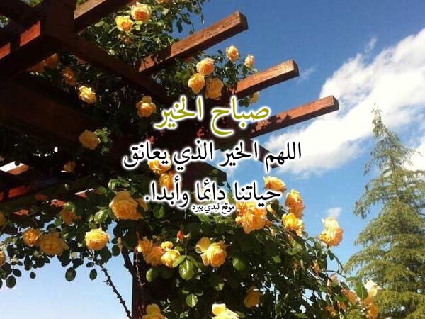 صباح الخير مع دعاء 5420 5