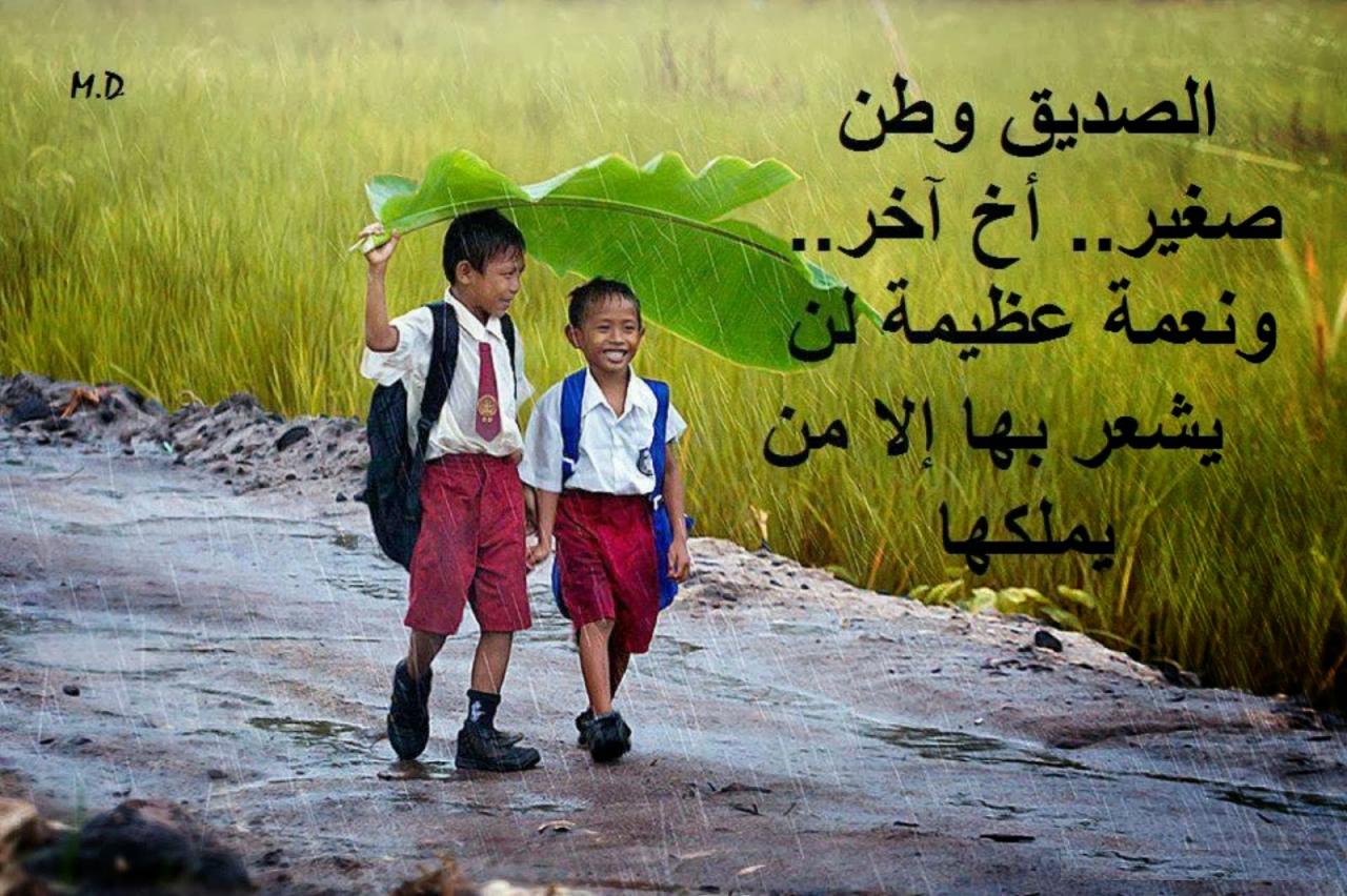 صور معبرة عن الصداقة 4137 2