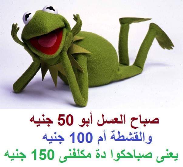 صباح العسل - اروع الصباحات المشرقة الجميلة 1100